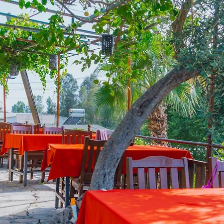 Pensiune St. Nicholas