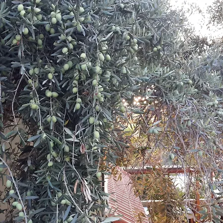 St. Nicholas Pensjonat 4*