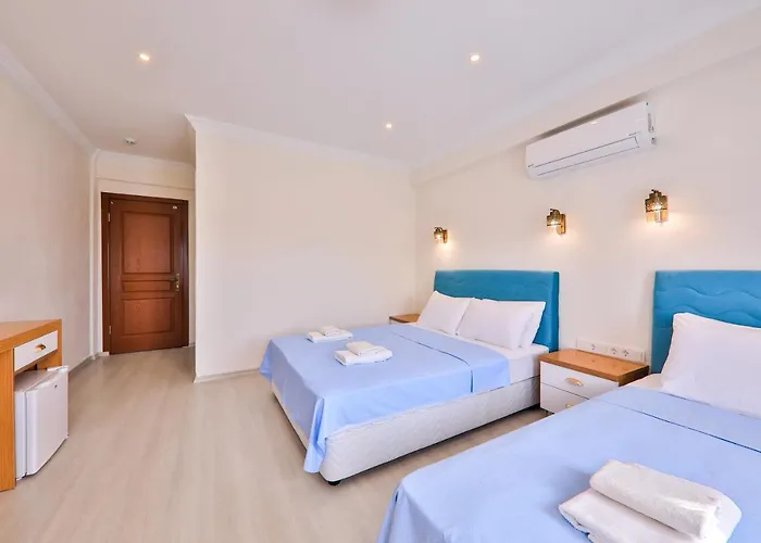 圣尼古拉斯膳食公寓酒店 帕塔拉