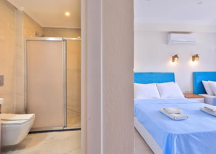 圣尼古拉斯膳食公寓酒店 4* 帕塔拉