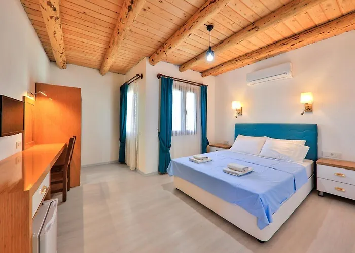 圣尼古拉斯膳食公寓酒店 招待所 帕塔拉