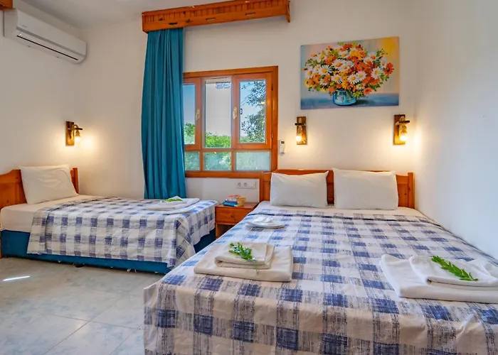 招待所 圣尼古拉斯膳食公寓酒店 帕塔拉