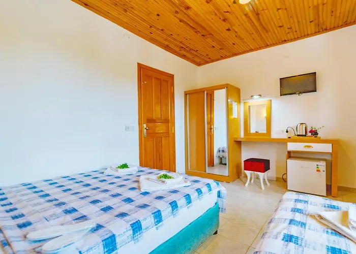 圣尼古拉斯膳食公寓酒店 招待所 4*