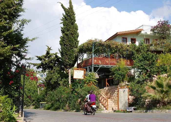 圣尼古拉斯膳食公寓酒店 4* 帕塔拉