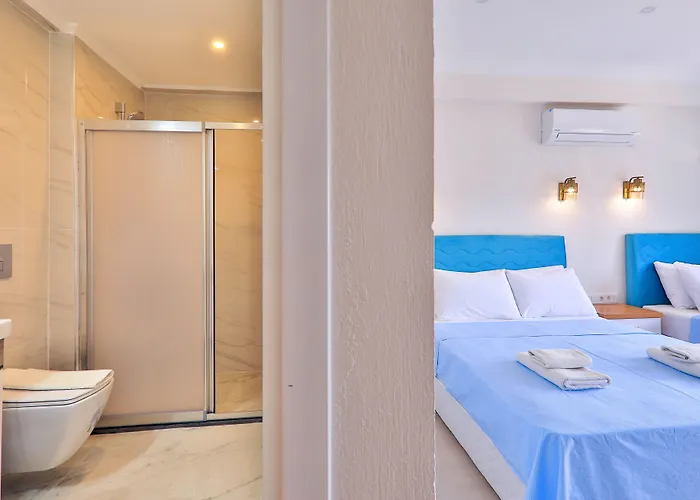 圣尼古拉斯膳食公寓酒店 招待所